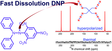 Graphical abstract: The efficiency of DPPH as a polarising agent for DNP-NMR spectroscopy