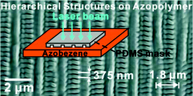 Graphical abstract: One-step fabrication of hierarchically ordered structures on photoresponsive azobenzene-containing polymers with phase masks
