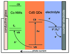 Graphical abstract: P-type CoO nanowire arrays and their application in quantum dot-sensitized solar cells