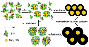 Graphical abstract: Protein-inspired synthesis of SnO2 nanocrystals with controlled carbon nanocoating as anode materials for lithium-ion battery