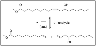 Graphical abstract: Ethenolysis of ricinoleic acid methyl ester – an efficient way to the oleochemical key substance methyl dec-9-enoate