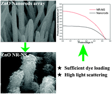 Graphical abstract: Hierarchical ZnO architectures consisting of nanorods and nanosheets prepared via a solution route for photovoltaic enhancement in dye-sensitized solar cells