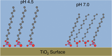 Graphical abstract: In situ study of the impact of acidic and neutral deposition pH on alkane phosphate film formation and stability on TiO2