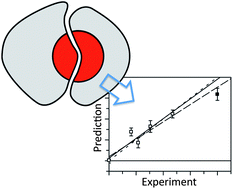 Graphical abstract: Mutational Locally Enhanced Sampling (MULES) for quantitative prediction of the effects of mutations at protein–protein interfaces