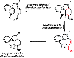 Graphical abstract: The intramolecular Diels–Alder reaction of tryptamine-derived Zincke aldehydes is a stepwise process