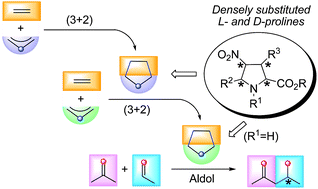 Graphical abstract: Densely substituted unnatural l- and d-prolines as catalysts for highly enantioselective stereodivergent (3 + 2) cycloadditions and aldol reactions