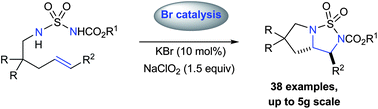 Graphical abstract: Metal-free diamination of alkenes employing bromide catalysis