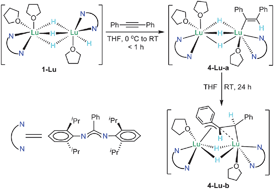 Graphical abstract: Binuclear rare-earth polyhydride complexes bearing both terminal and bridging hydride ligands
