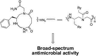 Graphical abstract: Design and synthesis of unprecedented cyclic γ-AApeptides for antimicrobial development