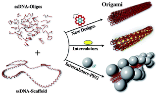 Graphical abstract: Two design strategies for enhancement of multilayer–DNA-origami folding: underwinding for specific intercalator rescue and staple-break positioning