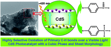Graphical abstract: Transforming CdS into an efficient visible light photocatalyst for selective oxidation of saturated primary C–H bonds under ambient conditions