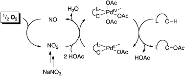 Graphical abstract: Nitrate as a redox co-catalyst for the aerobic Pd-catalyzed oxidation of unactivated sp3-C–H bonds