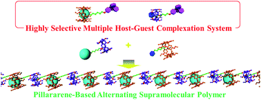 Graphical abstract: Supramolecular polymers with alternating pillar[5]arene and pillar[6]arene units from a highly selective multiple host–guest complexation system and monofunctionalized pillar[6]arene