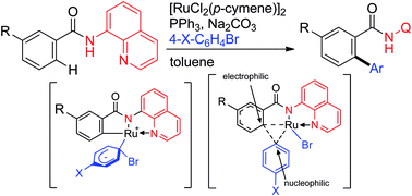 Graphical abstract: Ruthenium-catalyzed direct arylation of C–H bonds in aromatic amides containing a bidentate directing group: significant electronic effects on arylation