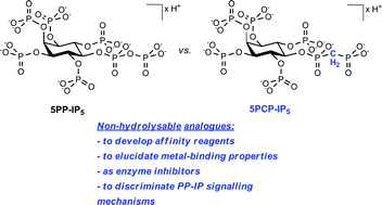 Graphical abstract: Synthesis and characterization of non-hydrolysable diphosphoinositol polyphosphate messengers