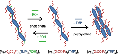Graphical abstract: Chemical transformations of a crystalline coordination polymer: a multi-stage solid–vapour reaction manifold