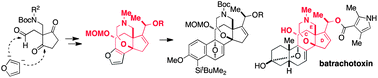 Graphical abstract: Modular synthesis of the pentacyclic core of batrachotoxin and select batrachotoxin analogue designs