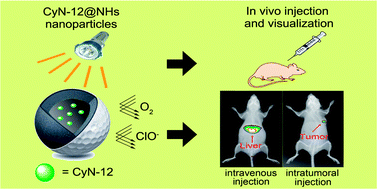 Graphical abstract: Constructing NIR silica–cyanine hybrid nanocomposite for bioimaging in vivo: a breakthrough in photo-stability and bright fluorescence with large Stokes shift