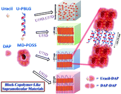Graphical abstract: Block-copolymer-like supramolecules confined in nanolamellae