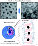 Graphical abstract: Polyaspartamide vesicle induced by metallic nanoparticles