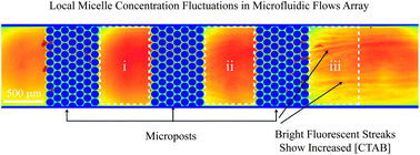 Graphical abstract: Local micelle concentration fluctuations in microfluidic flows and its relation to a flow-induced structured phase (FISP)