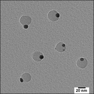 Graphical abstract: High-fidelity fabrication of Au–polymer Janus nanoparticles using a solution template approach