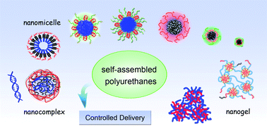 Graphical abstract: Self-assembly of biodegradable polyurethanes for controlled delivery applications