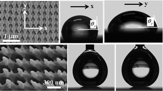 Graphical abstract: Anisotropic wetting and superhydrophobicity on holographically featured 3D nanostructured surfaces