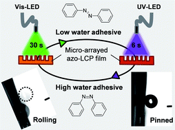 Graphical abstract: Light-controlled quick switch of adhesion on a micro-arrayed liquid crystal polymer superhydrophobic film