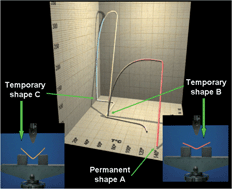Graphical abstract: Triple-shape memory effect of covalently crosslinked polyalkenamer based semicrystalline polymer blends