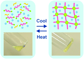 Graphical abstract: Design and properties of supramolecular polymer gels