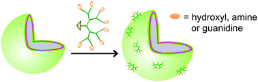 Graphical abstract: Tuning polymersome surfaces: functionalization with dendritic groups