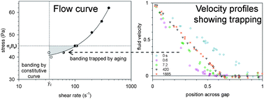 Graphical abstract: Transient and steady-state shear banding in aging soft glassy materials