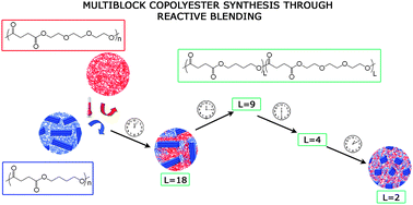 Graphical abstract: Easily synthesized novel biodegradable copolyesters with adjustable properties for biomedical applications