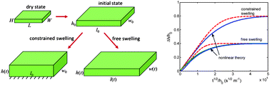 Graphical abstract: Swelling kinetics of polymer gels: comparison of linear and nonlinear theories