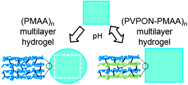 Graphical abstract: pH-triggered shape response of cubical ultrathin hydrogel capsules