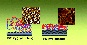 Graphical abstract: Structural aspects of polyanion and hydrophobically modified polycation multilayers on hydrophilic or hydrophobic surfaces