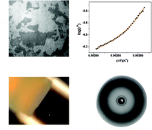 Graphical abstract: Strain glass analogue in a bent-core liquid crystal exhibiting the dark conglomerate phase