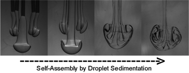 Graphical abstract: Interaction of sedimenting drops in a miscible solution – formation of heterogeneous toroidal-spiral particles