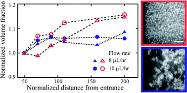 Graphical abstract: Effects of attraction strength on microchannel flow of colloid–polymer depletion mixtures