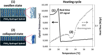 Graphical abstract: Hydrogels synthesized in electrochemically machined porous Si hosts: effect of nano-scale confinement on polymer properties