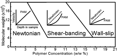 Graphical abstract: Shear-banding in polyacrylamide solutions revealed via optical coherence tomography velocimetry