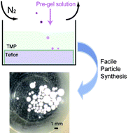 Graphical abstract: Interface assisted synthesis of complex hydrogel particles