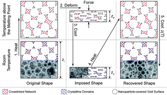 Graphical abstract: Shape memory polymer foams from emulsion templating