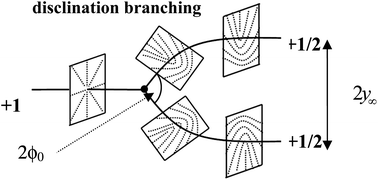 Graphical abstract: Theory and modeling of nematic disclination branching under capillary confinement