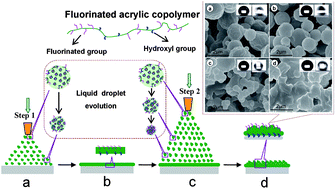 Graphical abstract: Facile preparation of superhydrophobic coating by spraying a fluorinated acrylic random copolymer micelle solution