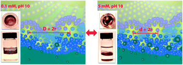 Graphical abstract: Electrostatic interactions to modulate the reflective assembly of nanoparticles at the oil–water interface