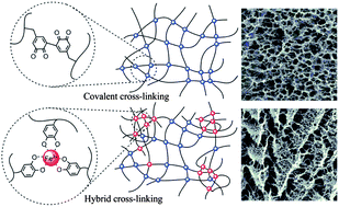 Graphical abstract: Structural effects of catechol-containing polystyrene gels based on a dual cross-linking approach