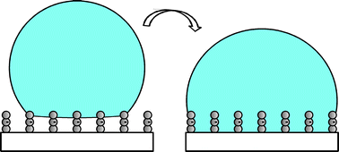 Graphical abstract: Design principles for superamphiphobic surfaces