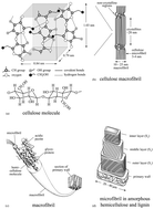 Graphical abstract: The structure and mechanics of nanofibrillar cellulose foams